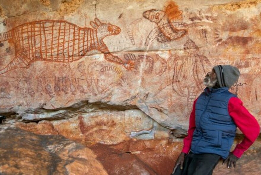 Aboriginal Elder leaning back and looking up at ancient art carved into reddish coloured sandstone cave rocks.