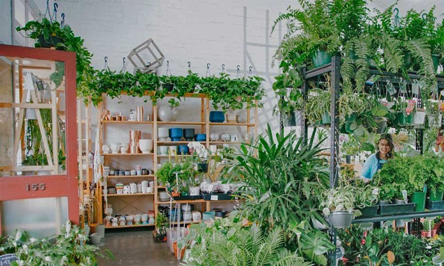 A woman in a plant shop with pots and lots of green ferns.