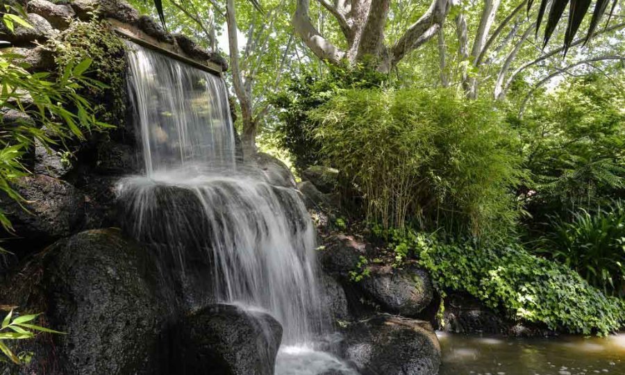 A waterfall cascading down rocks surrounded by green trees