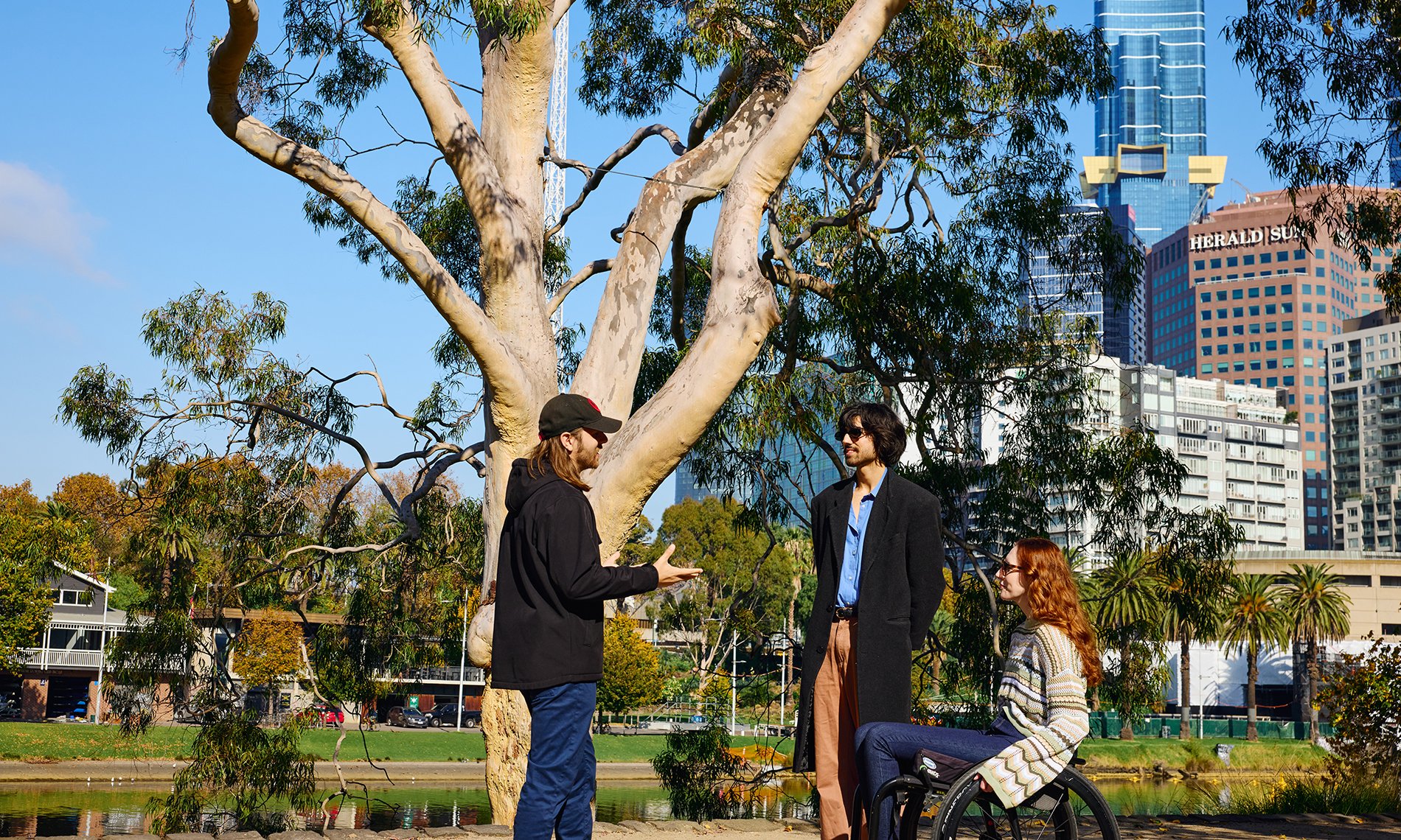 Three people talking beside a large tree by a river in a city. One is using a wheelchair.