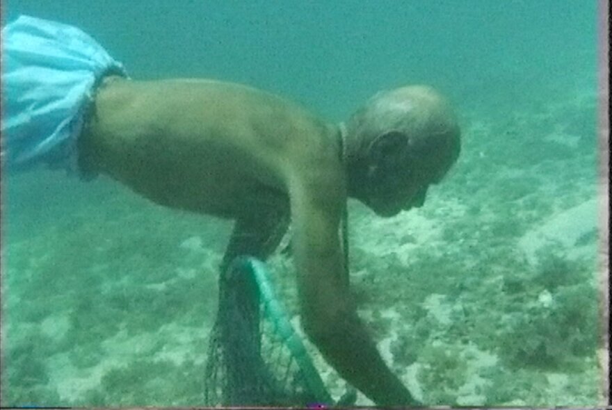 A free diver swimming underwater looking for pearl oysters.