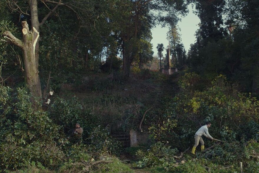 A still from the film Taming the Garden showing a man in a forest tending the trees. 