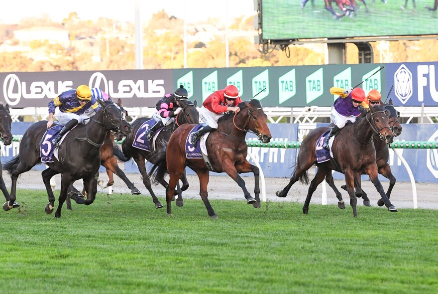 Horses racing on a track with signage.
