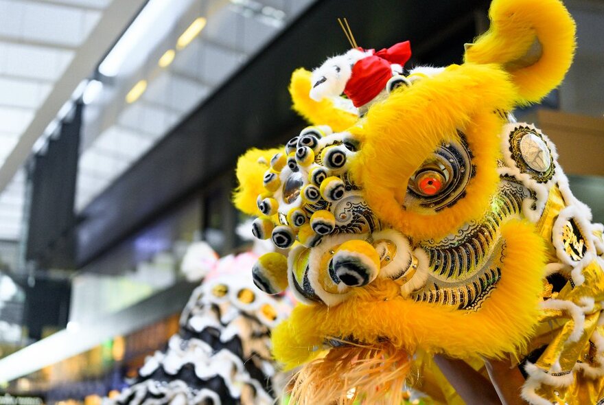 Close up of the head of a lion puppet used in lunar new year celebrations.