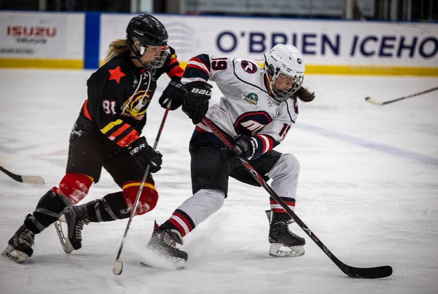 Two ice hockey players battle it out on the ice. 