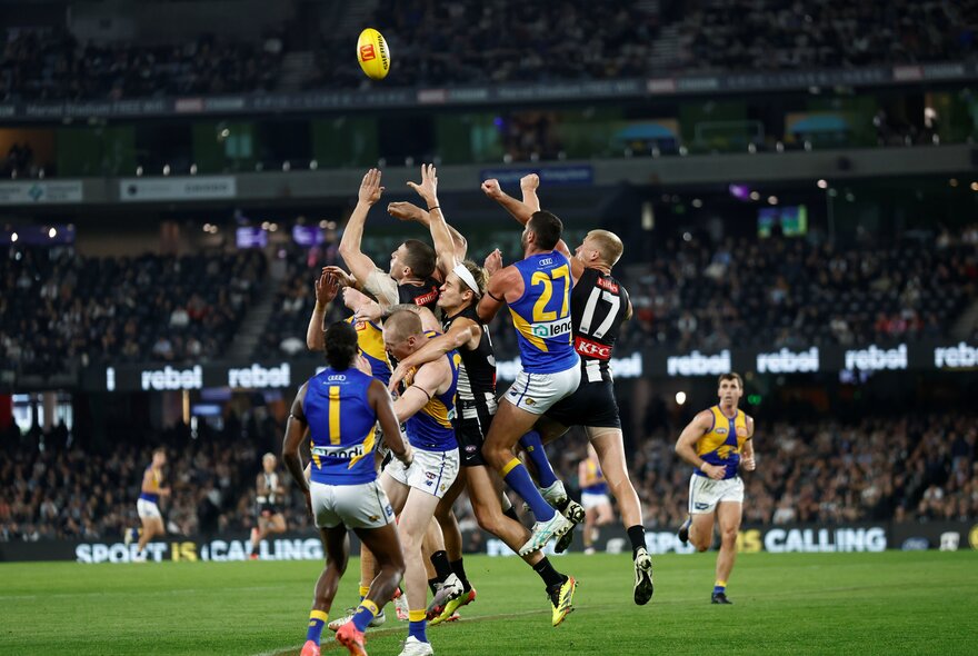 A group of AFL players from Collingwood and West Coast Eagles, jumping high for the ball on a football field, fans in the stadium seats behind them.
