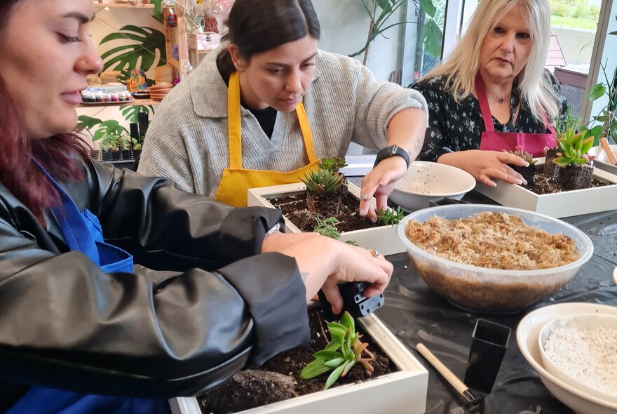 Three women at a table working on a individual plant projects.