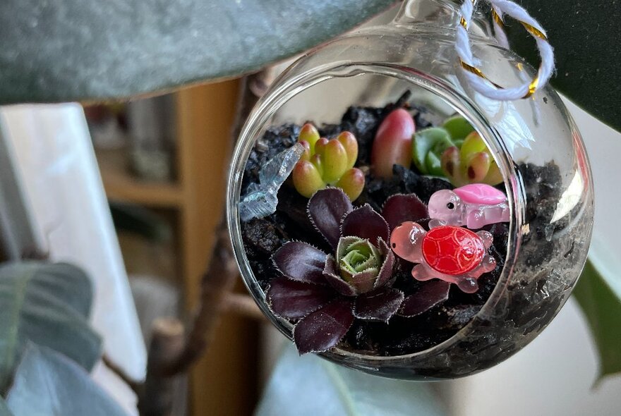 A small Christmas-themed glass terrarium.