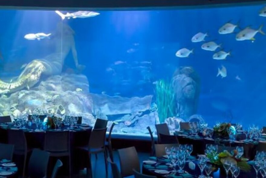 Dining tables in front of a large aquarium with fish and a mermaid sculpture in a darkened space.