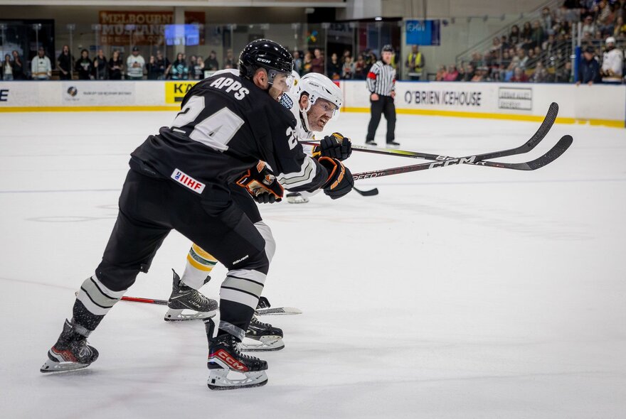 Ice hockey players from different teams skating on the ice, holding up their hockey sticks, a referee and stadium crowd in the background.