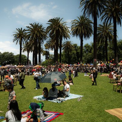 People on picnic blankets in the gardens with large palm trees. 