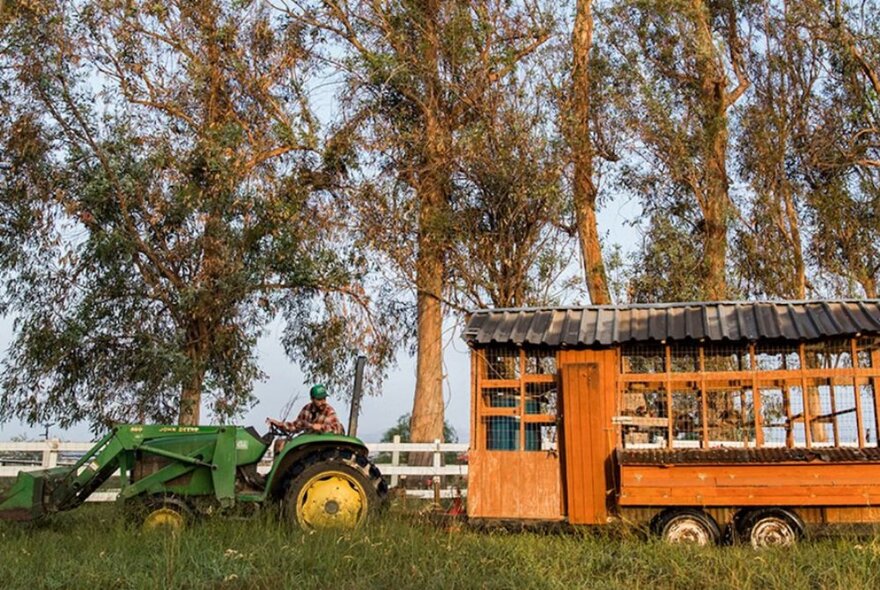 A green tractor pulling along a trailer with a wooden structure like a house on it, with a line of tall gum trees in the distance.