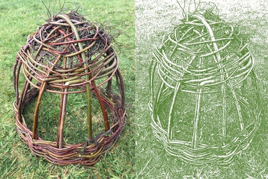 An open garden cloche or cover made from woven twigs.