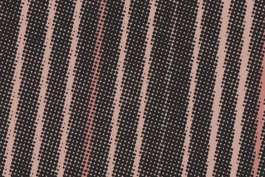 A close up photograph of harp strings.