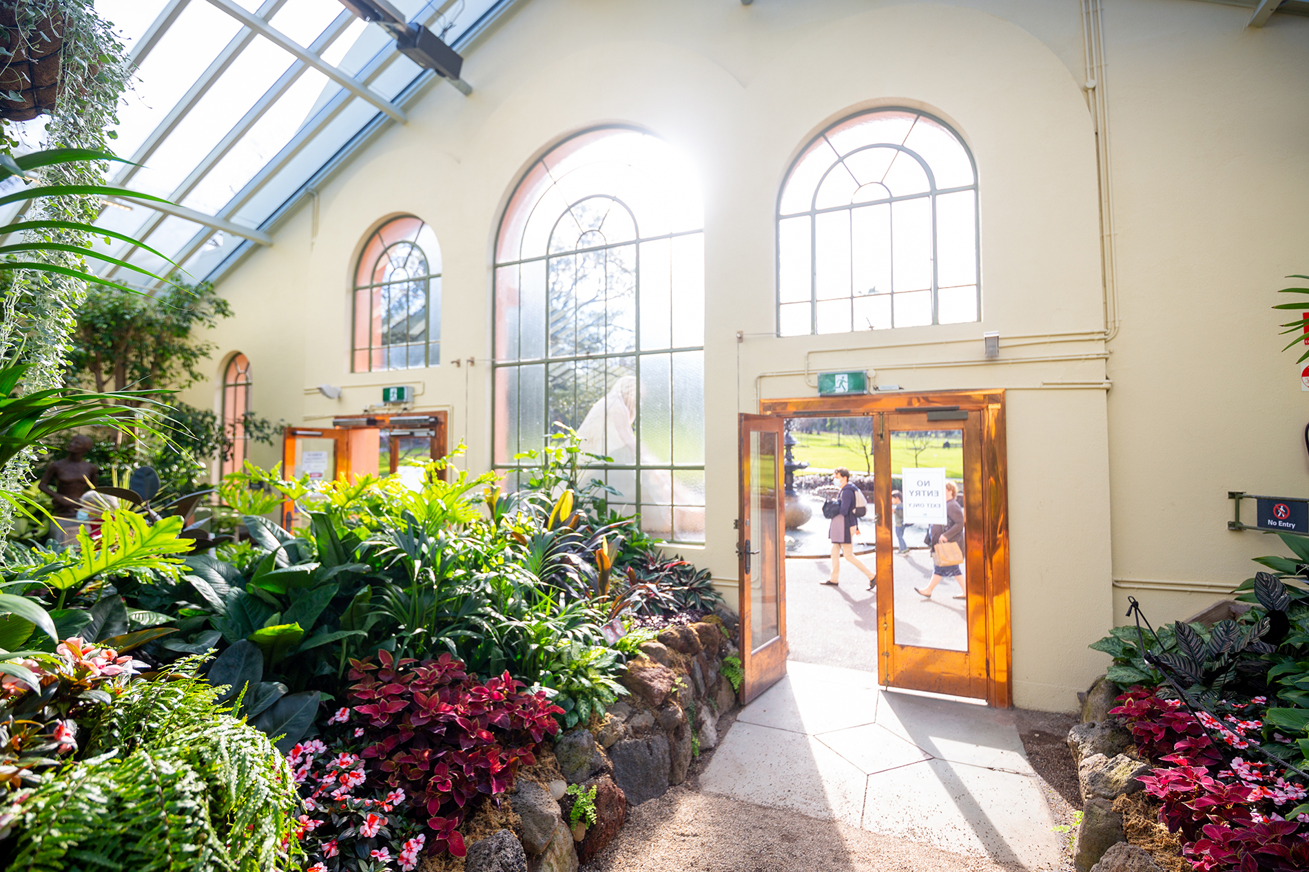An indoor garden with light flooding through arched windows.