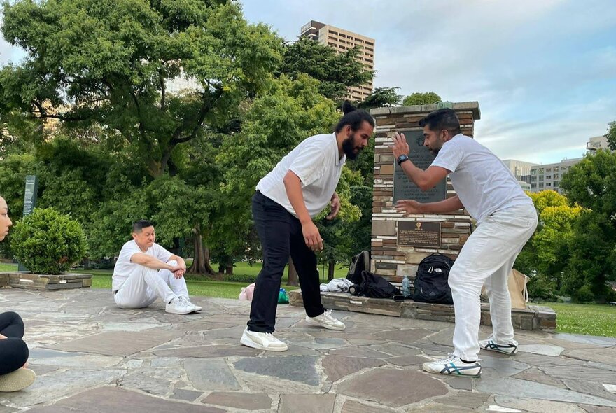 Two men dancing Capoeira in Flagstaff Gardens while others look on.