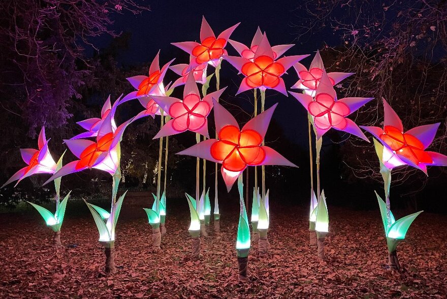 Tall, red illuminated flowers at Lightscape.