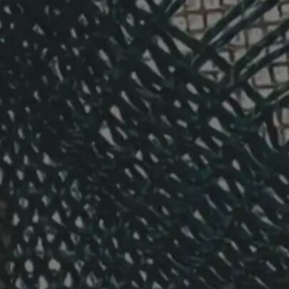 Erin Manning: Unsettled 