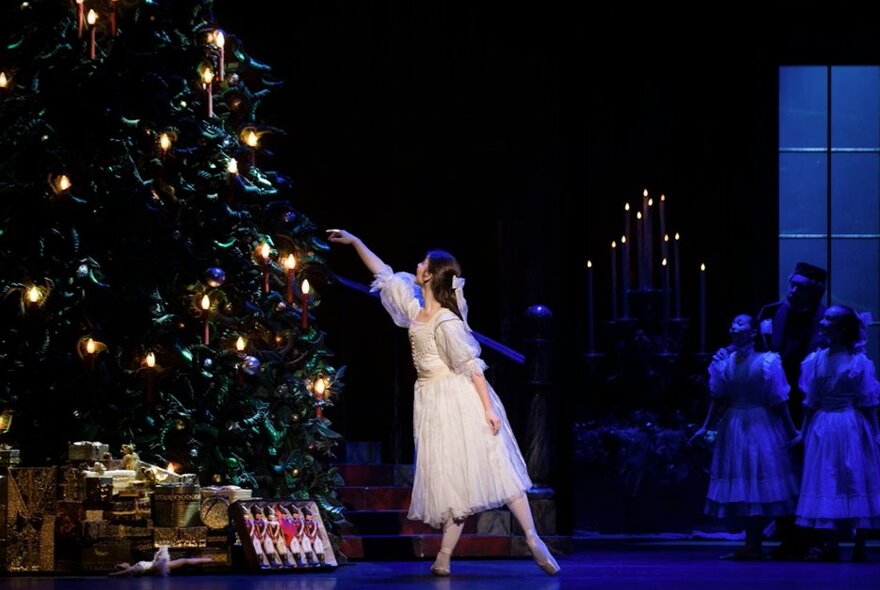 A young ballerina touches a large Christmas tree in a production of The Nutcracker. 