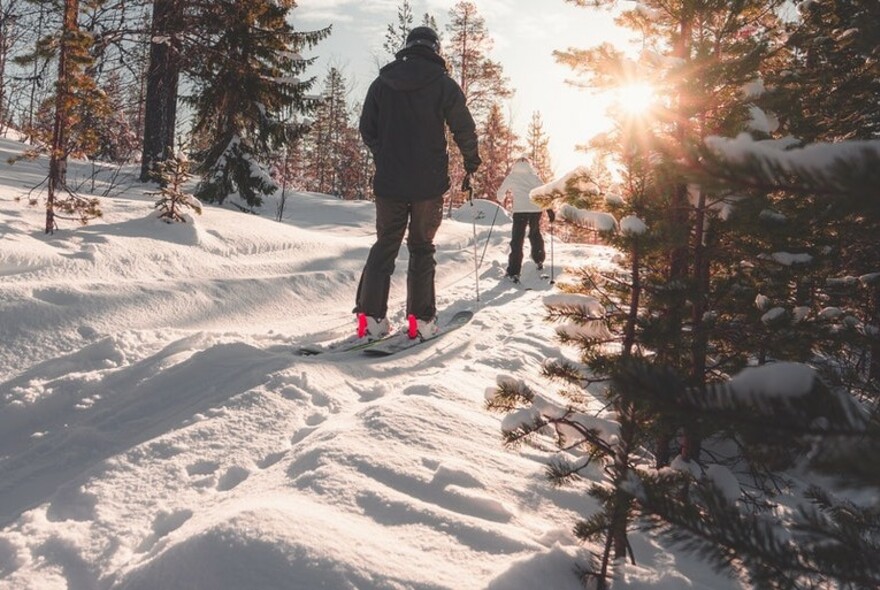 People cross-country skiing in the woods.