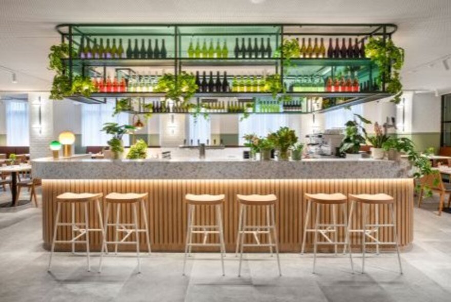 The wood-lined bar with concrete bartop and wooden barstools inside a cafe/restaurant.