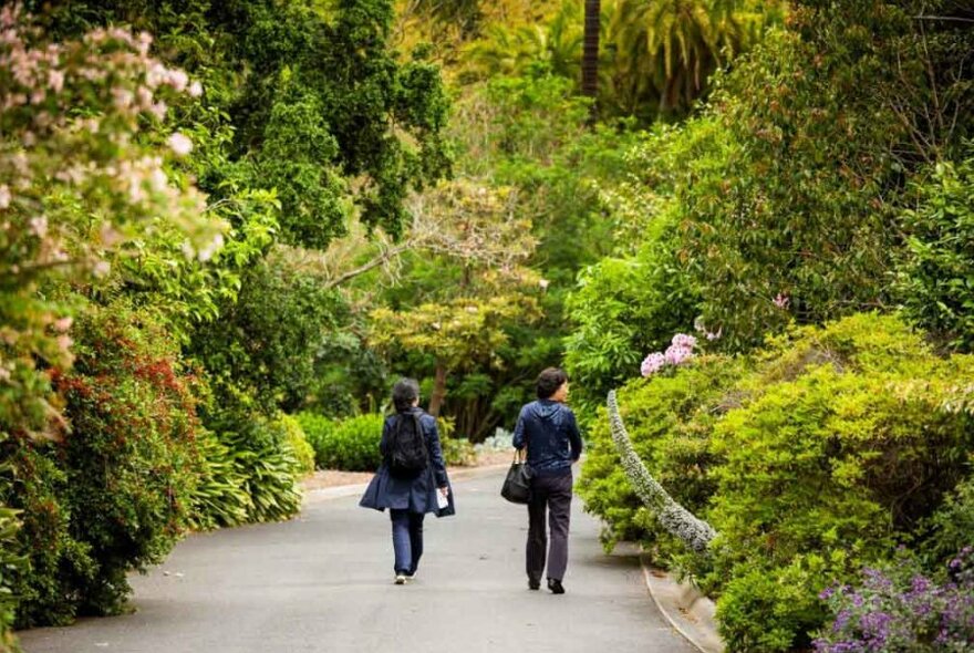 Two people walking through a garden