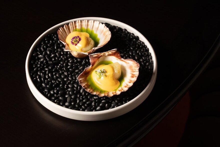 Two scallop shells on a bed of black beans in a round white dish.
