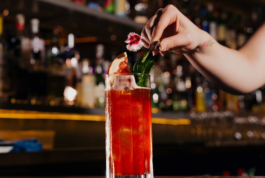 A red cocktail in a hi-ball glass, a woman's hand adding a floral garnish.