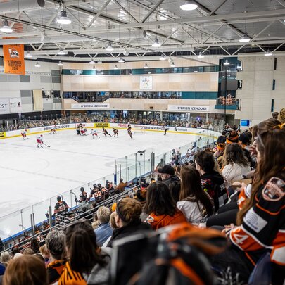 An ice hockey match in progress with spectators in the stands and players on the ice. 