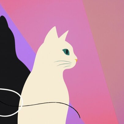 A black cat and a white cat, connected to each other by threads.