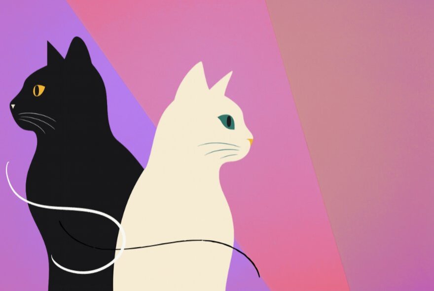 A black cat and a white cat, connected to each other by threads.