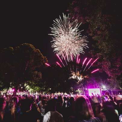 New Year's Eve Celebration Zones