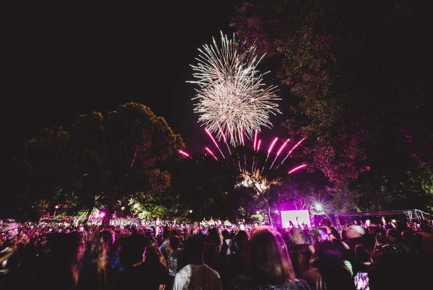 Fireworks in the night sky, seen over the heads of a crowd of people.