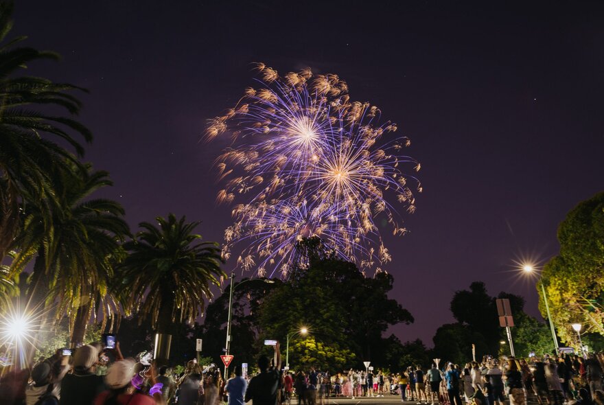 Fireworks in the night sky, seen through a crowd of people and palm trees.