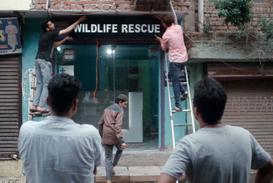 Film still from All That Breathes, with two people on ladders affixing a sign that reads WILDLIFE RESCUE above a shop space in a street, with three people watching and helping.