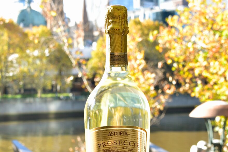 Bottle of white wine with autumn trees and skyline in the background.