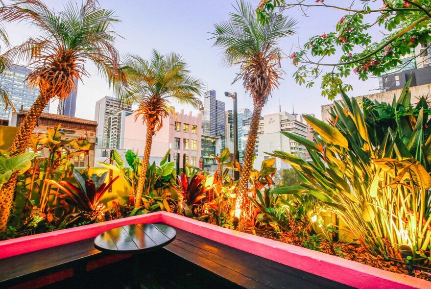 Rooftop table and seating with palm trees and planting, city buildings in the background.
