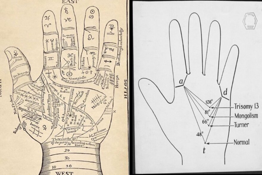 Line drawings of two palms, each with markings, words and symbols featured alongside lines drawn on the palm.