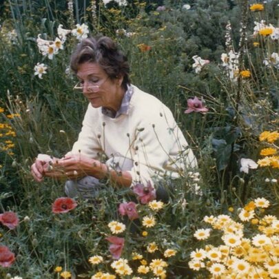 Gardener Beth Chatto leaning forward in a garden surrounded by flowers. 