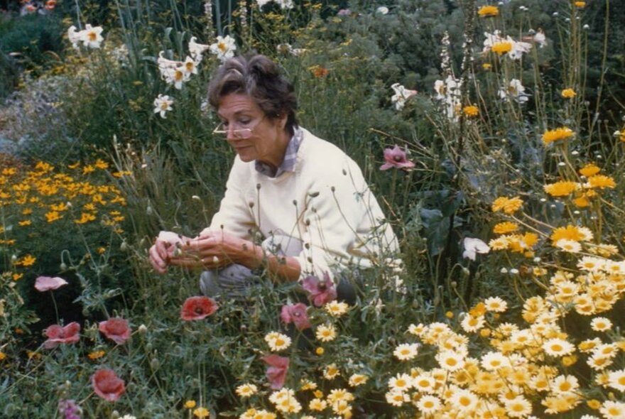 Gardener Beth Chatto leaning forward in a garden surrounded by flowers. 