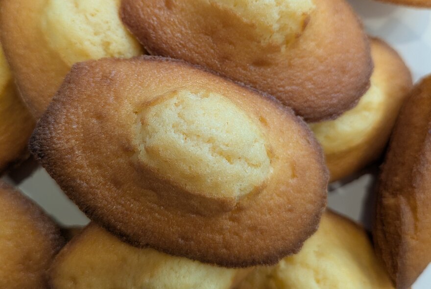 French friands, seen from above.