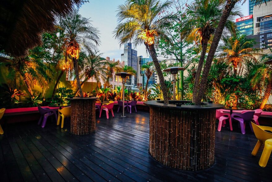 Rooftop planters with palm trees in pots, city buildings in the background.