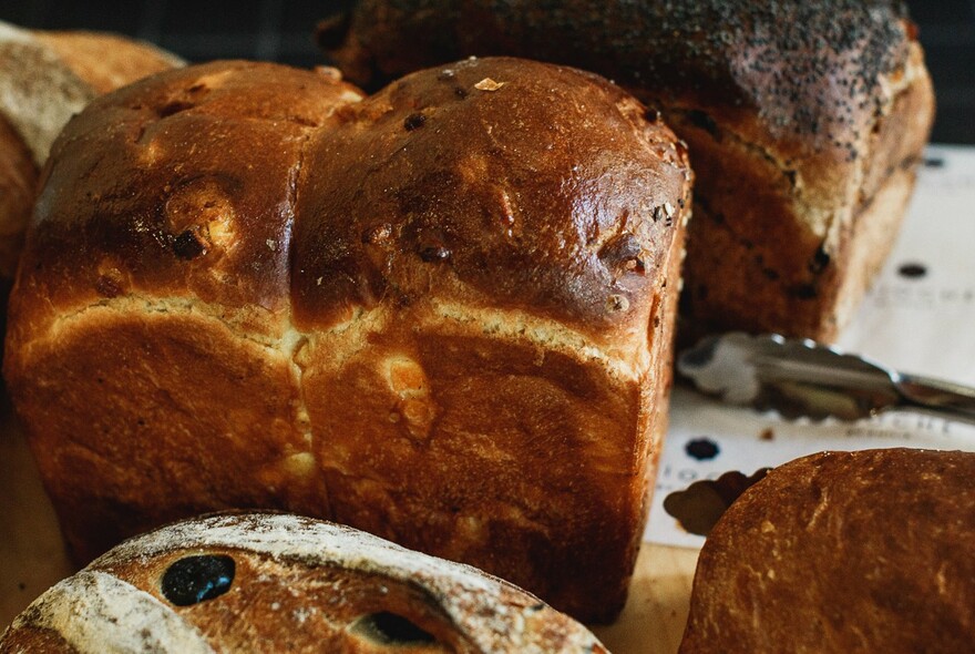 Loaves with dried fruit and poppy seeds.