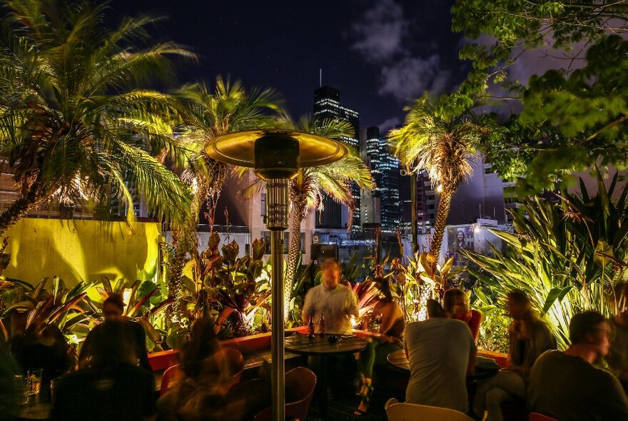 Rooftop bar with people socialising and drinking under tall palm trees and views of city buildings; night time.