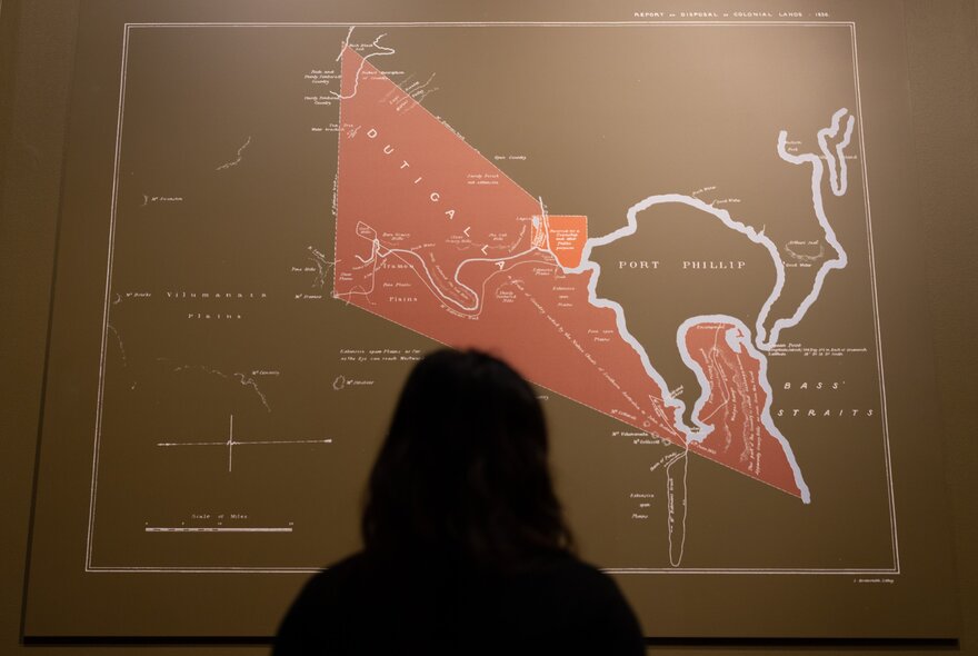 A person looking at an exhibition at the State Library Victoria, specifically designed to display the original 1835 treaty documents, in this case it is a map displayed on a wall.