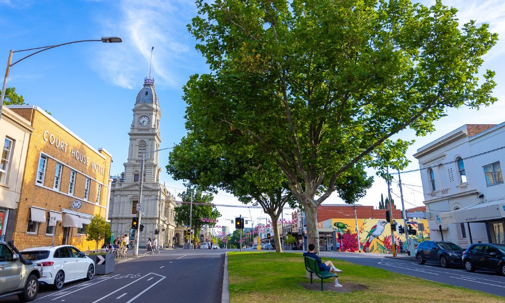 A man sitting under a tree on a city street.