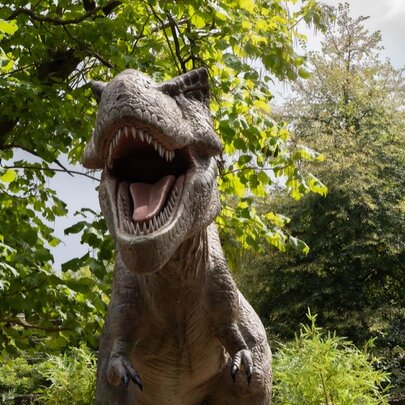 A large dinosaur model with its mouth open in a park setting. 