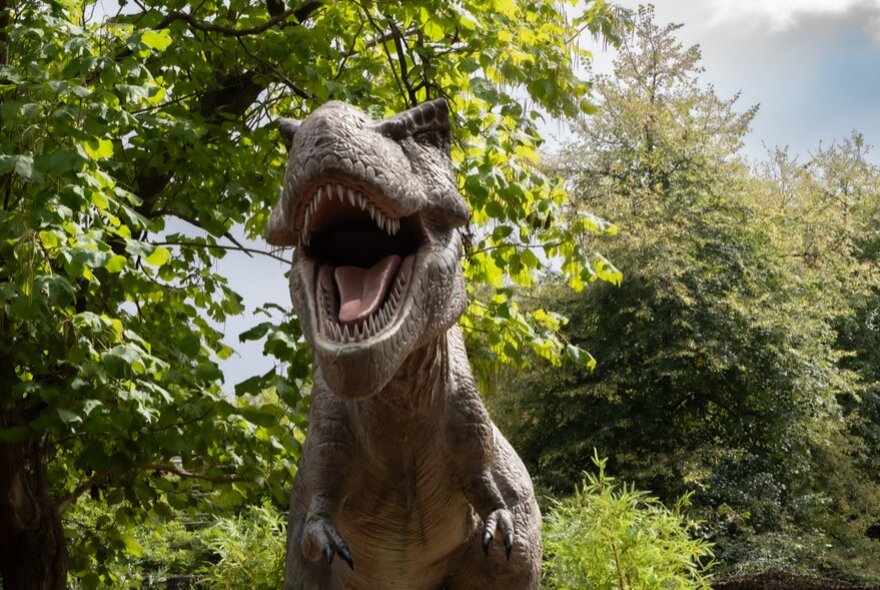 A large dinosaur model with its mouth open in a park setting. 