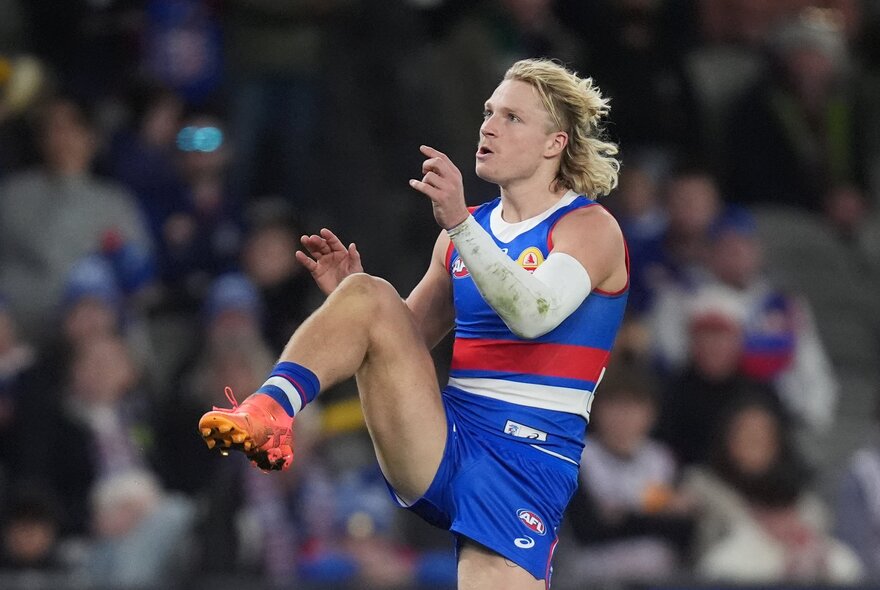 A Western Bulldogs AFL player having just kicked the football, with one leg bent up towards his chest.