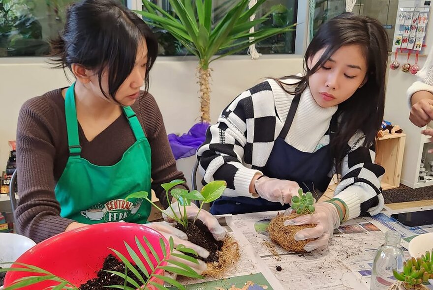 Two people at a work bench wearing gloves and  creating plant balls, plants and a bowl of soil in front of them.